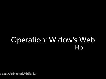 Operation Widow Web
